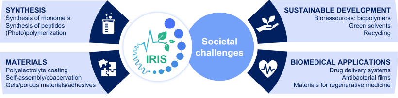 IRIS research
